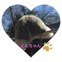 Mizuki_20210218123623