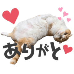 nozomi_20210218124118