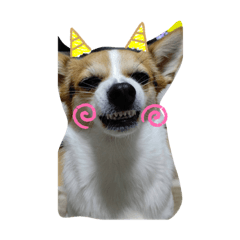 chibi_20210218130751