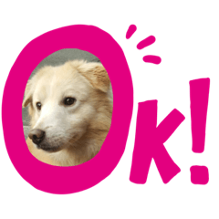 akiko_20210218144249