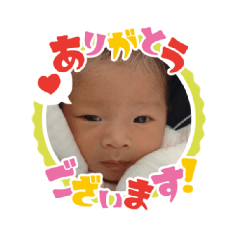 miki_20210218143952