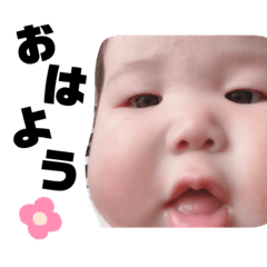 どすこいかのんちゃん