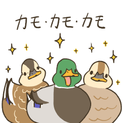Three ducks