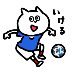 PITARO's football cat(tricolor)