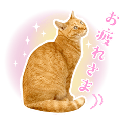 猫助けスタンプ「サノスケ挨拶編」