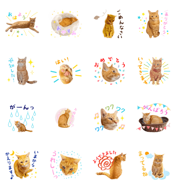 猫助けスタンプ サノスケ挨拶編 Lineクリエイターズスタンプ Stamplist 猫助けスタンプ サノスケ挨拶編 Lineクリエイターズスタンプ Stamplist