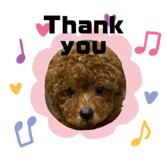 ayumi_20210218183724