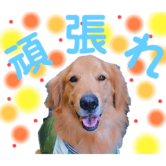 Hikari_20210218191600