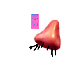 Rei_20210218210730