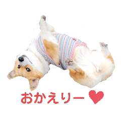 alice_20210218212531