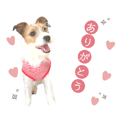 risa_20210219001525