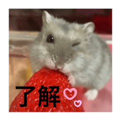 RINA_20210219073348