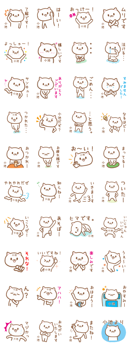 Cat for KOIKE