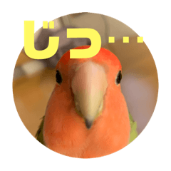 alice_20210218194059