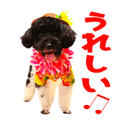 ROBIN and ASAHI'S Sticker