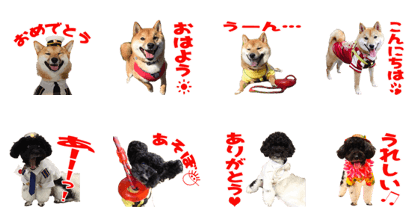 ROBIN and ASAHI'S Sticker