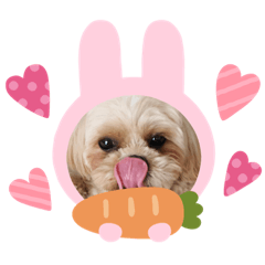 KAITO_20210218234917