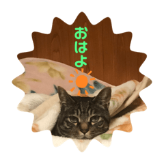 orange_20210218235955