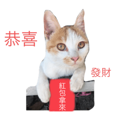 哈哈閃電小呆瓜-過年篇