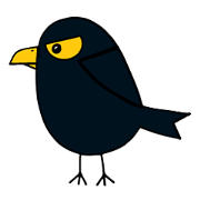 Birds to find friends