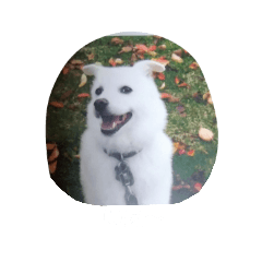 snowy_20210219114619