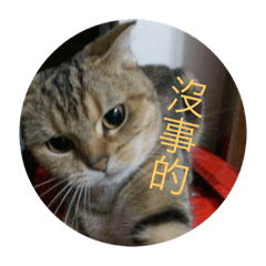 Cookie喵嗚來啦！〈笫三彈〉