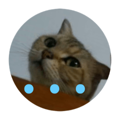 Cookie喵嗚來啦！