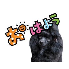 mijudako_20210219024839