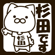 SUGITA-cat