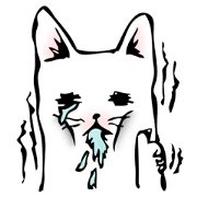 GESSORI CATS 1