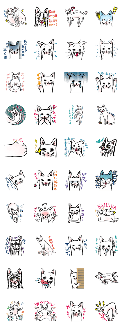 GESSORI CATS 1