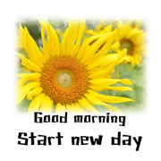 Flowers Good word good feeling