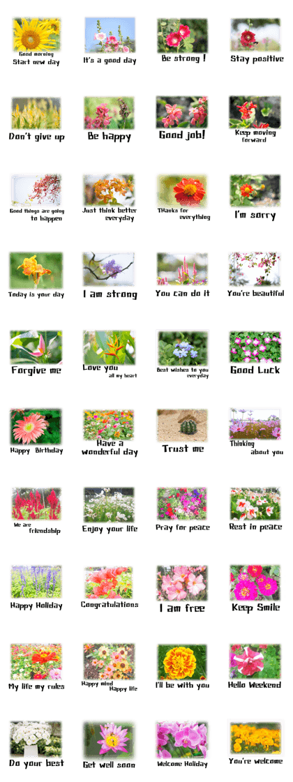 Flowers Good word good feeling