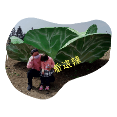 這一家3