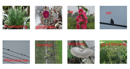 Beauty village