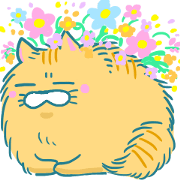 Bloun cat