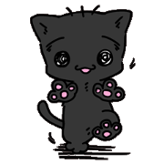 peach fuzz_cat