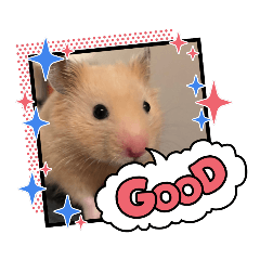 omochi_20210219134921