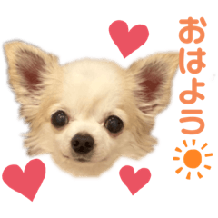 Ayumi_20210219112902