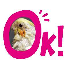 hikari_20210219082023