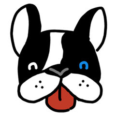 POKE (Boston Terrier )