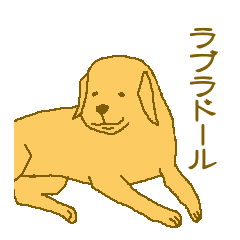 Labrador Retriever ALPHA