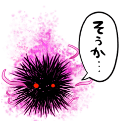 sea urchin that has fallen into the dark