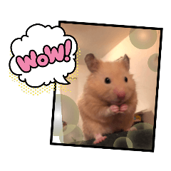 omochi_20210219144238