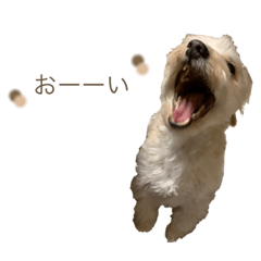 smile_20210219151242