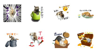 MOCA & MEI & MOMOTA & OTO
