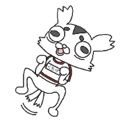 Mr. Kurage of a chihuahua