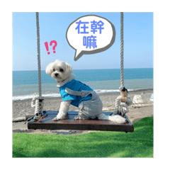 豆漿ㄉ專屬貼圖1