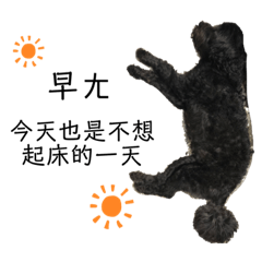 我是最喜歡奶奶的妞妞