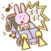 The name of this rabbit is Max.